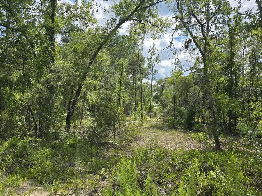 00 NE 121st Avenue, Williston, FL 32696 - #3