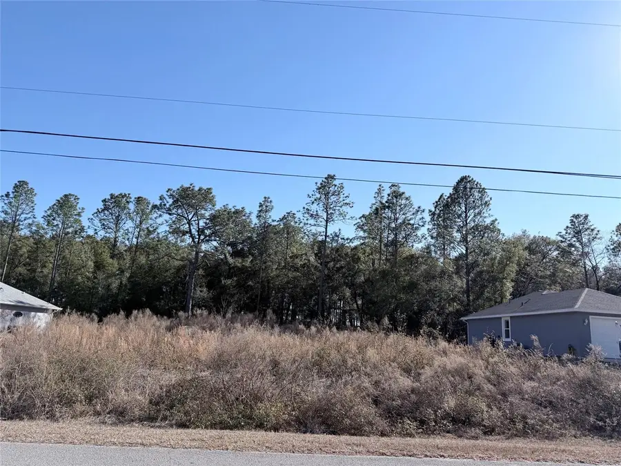 0 SW 59th Lane, Dunnellon, FL 34431 - #3