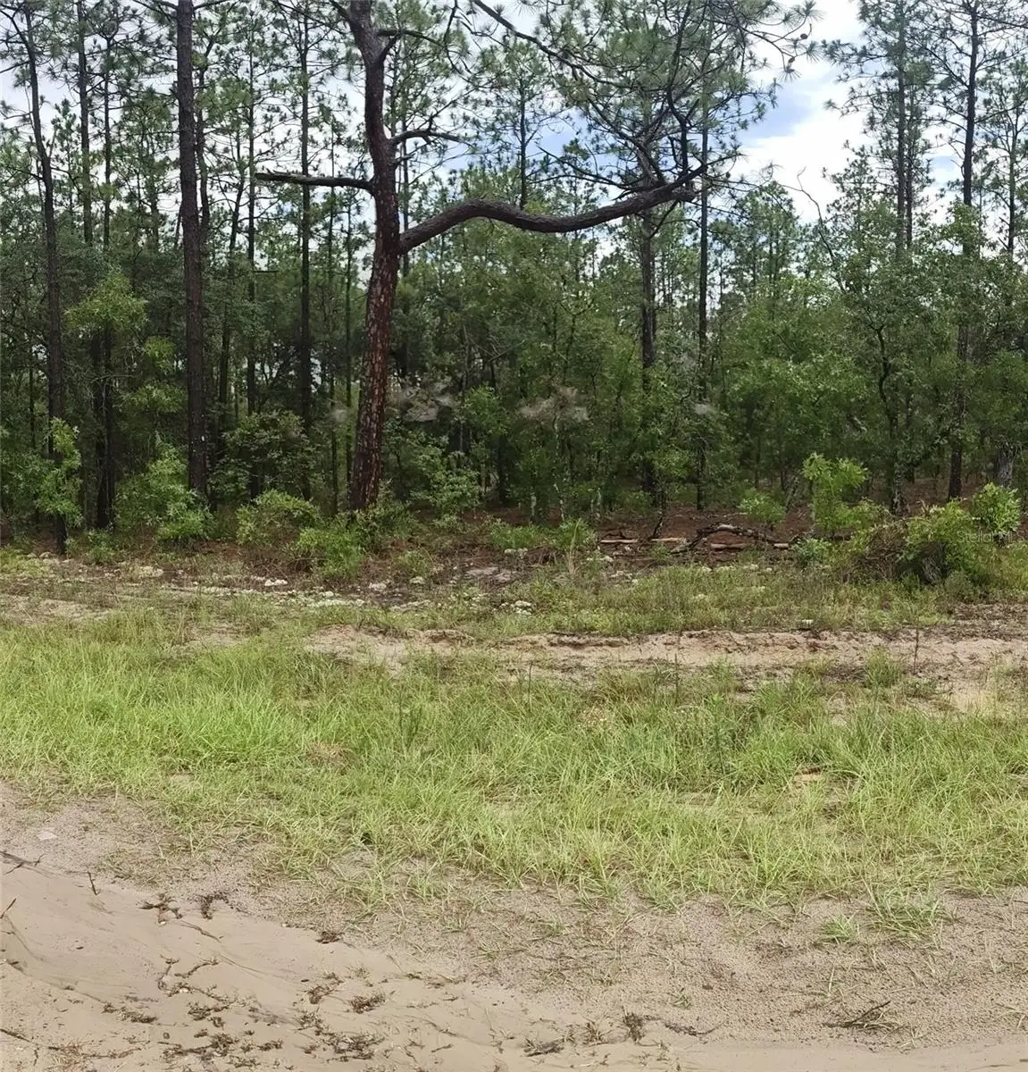00 SW 69 Place, Ocala, FL 34481 - #1