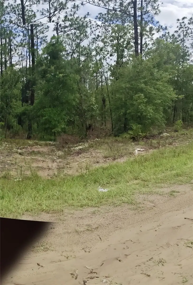 00 SW 69 Place, Ocala, FL 34481 - #2