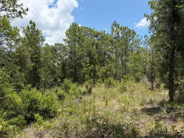 00 NE 65th Terrace, WILLISTON, FL 32696