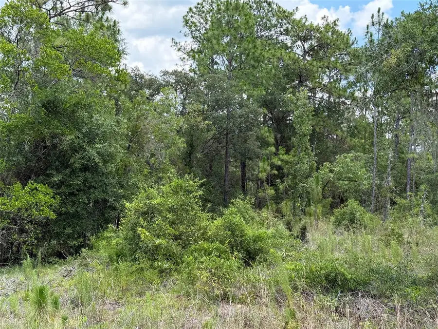 00 NE 65th Terrace, Williston, FL 32696 - #2