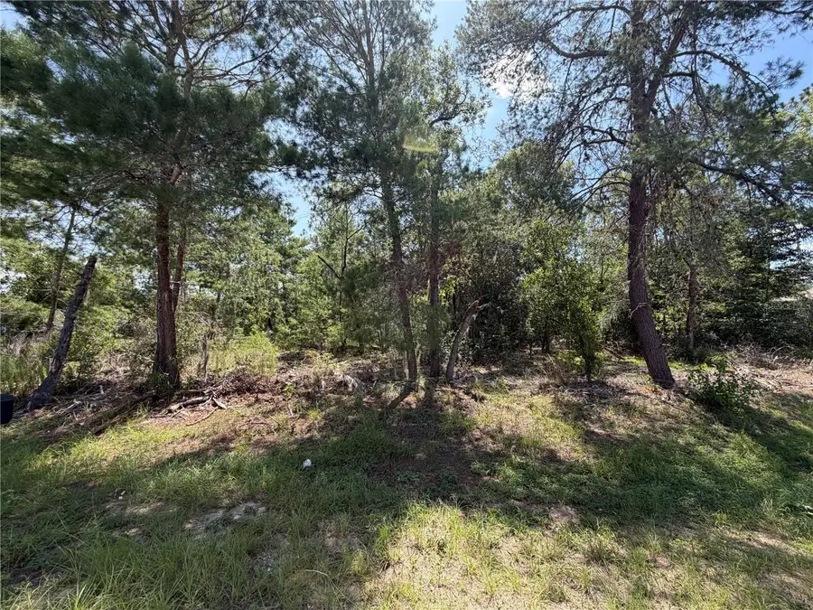 Redwood Run Loop, Ocala, FL 34472 - #2