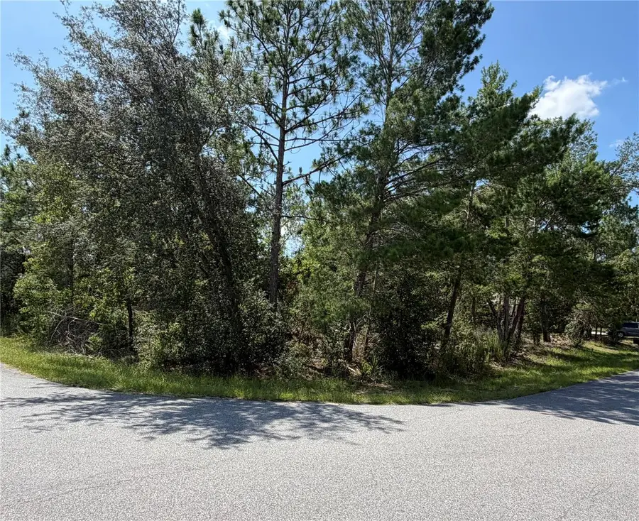 Redwood Run Loop, Ocala, FL 34472 - #3