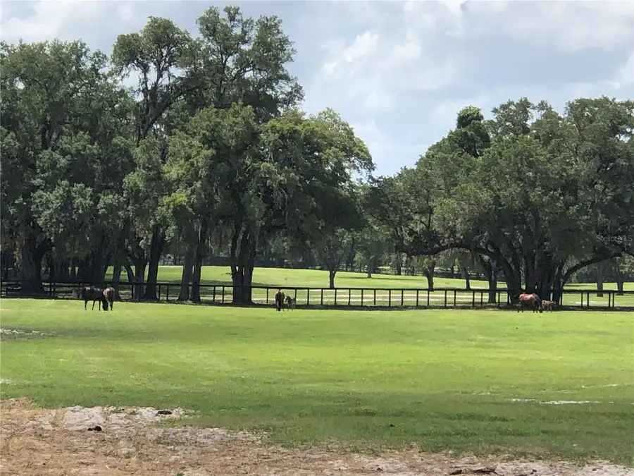 30th Street, Morriston, FL 32668 - #2