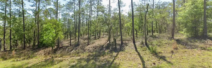 00 SW Sw Zinnia Court, Dunnellon, FL 34431 - #3