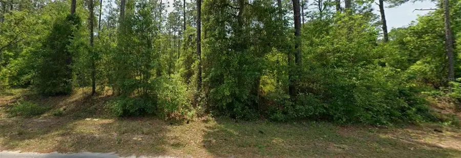 00 NW Falcon Avenue, Dunnellon, FL 34431 - #2