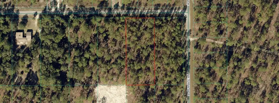00 NW Falcon Avenue, Dunnellon, FL 34431 - #3