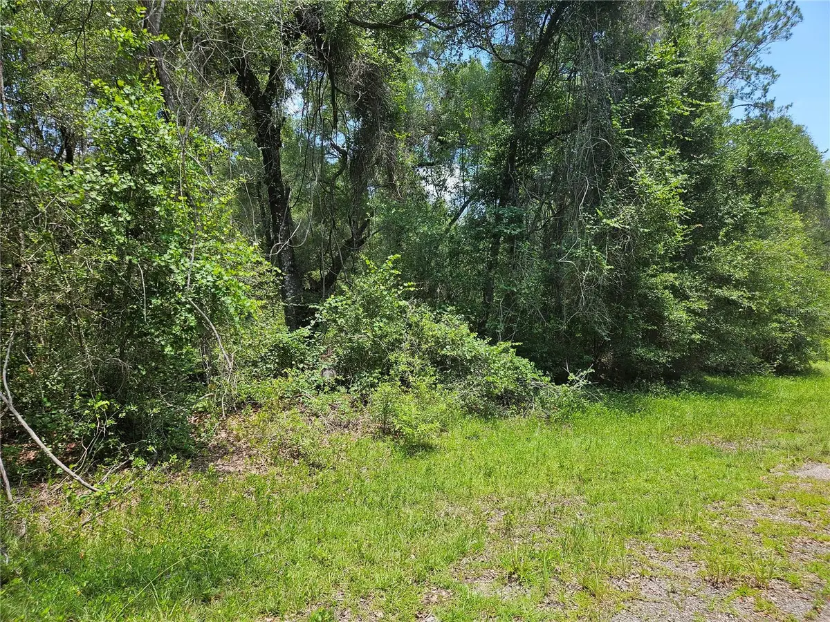 1139 Kingsdale St., Dunnellon, FL 34434 - #1