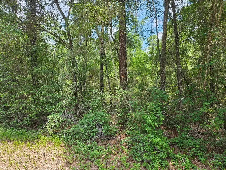 1582 Derby Dr., Dunnellon, FL 34434 - #2