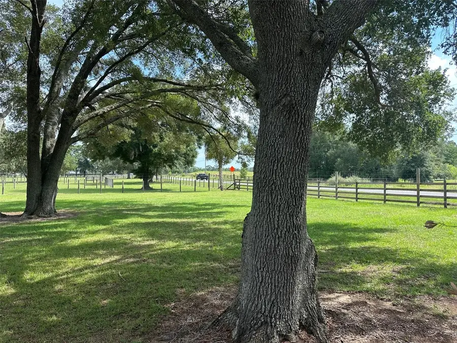 905 NW 80th Avenue, Ocala, FL 34482 - #3