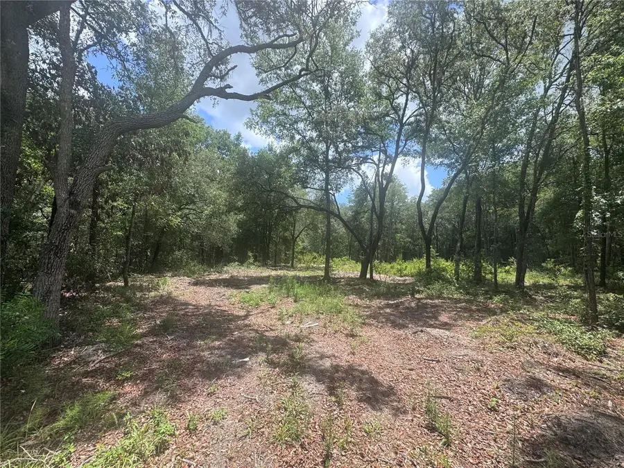 751 NE 139th Avenue, Williston, FL 32696 - #3