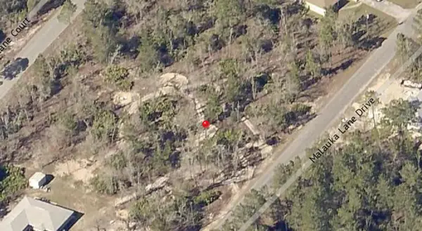 00 Malauka Trail Drive, OCKLAWAHA, FL 32179