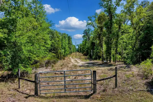 TBD NE 75 Street, WILLISTON, FL 32696