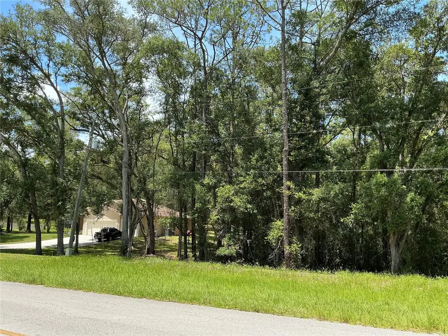 SW 102nd St Road, Dunnellon, FL 34431 - #3