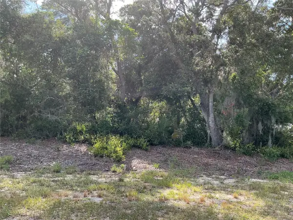 Olive Road, OCALA, FL 34472