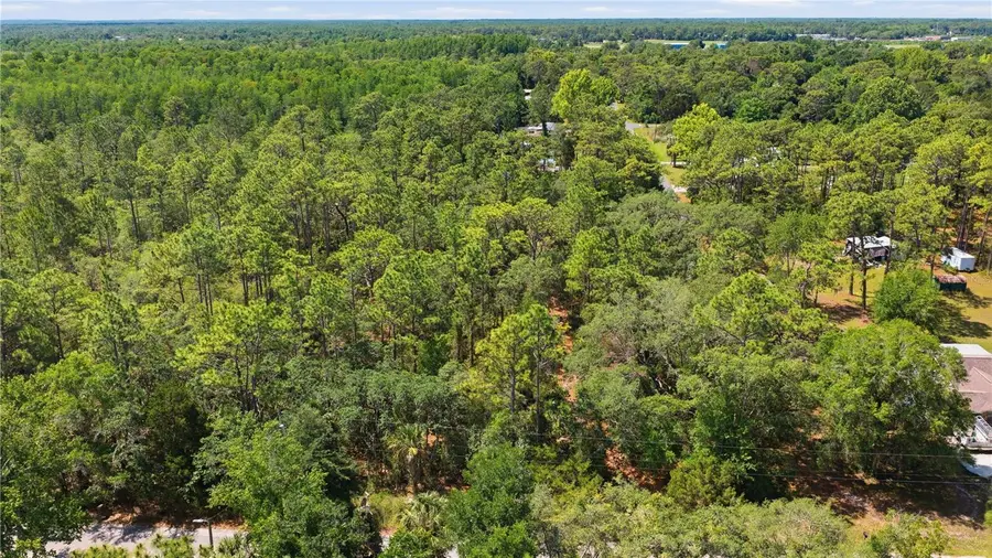 8266 W Anna Gail Lane, Crystal River, FL 34429 - #3