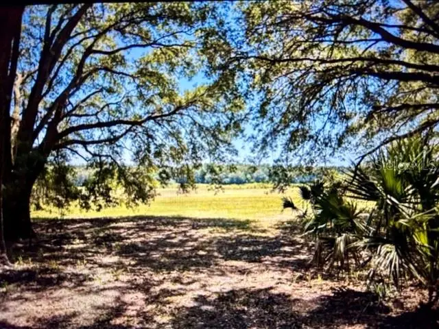 00 NW 60th Avenue, Chiefland, FL 32626 - #3