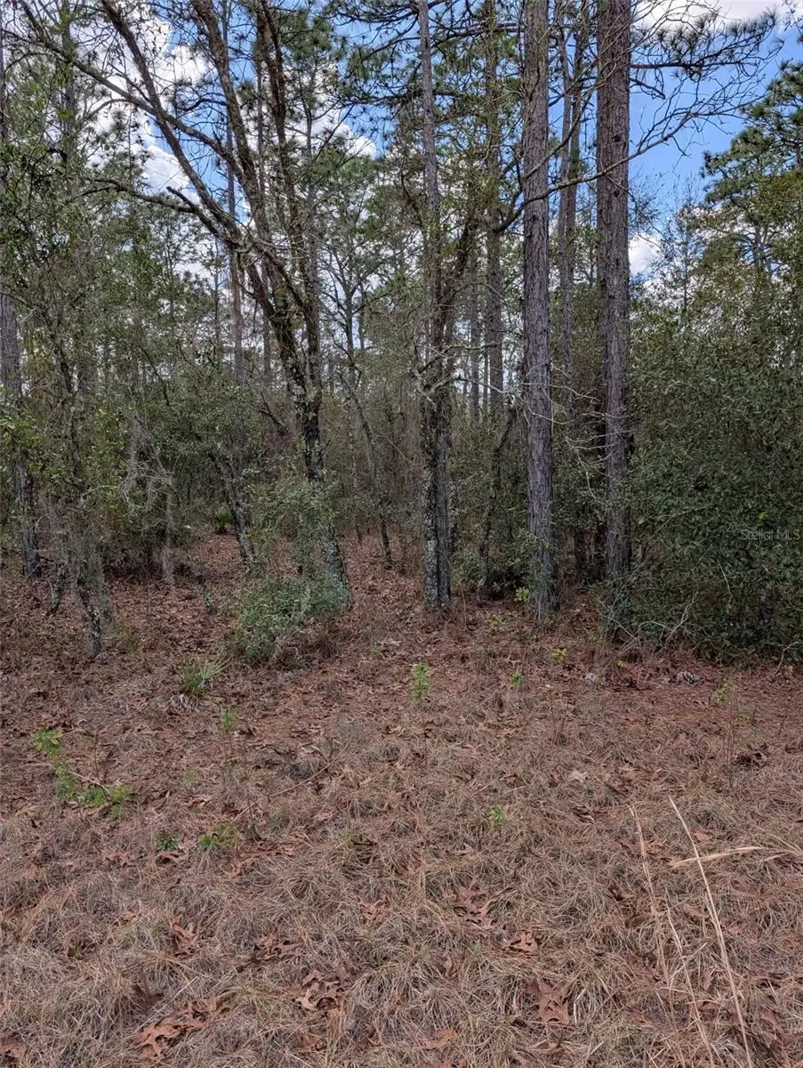 0 SW 90th Street, Dunnellon, FL 34432 - #1