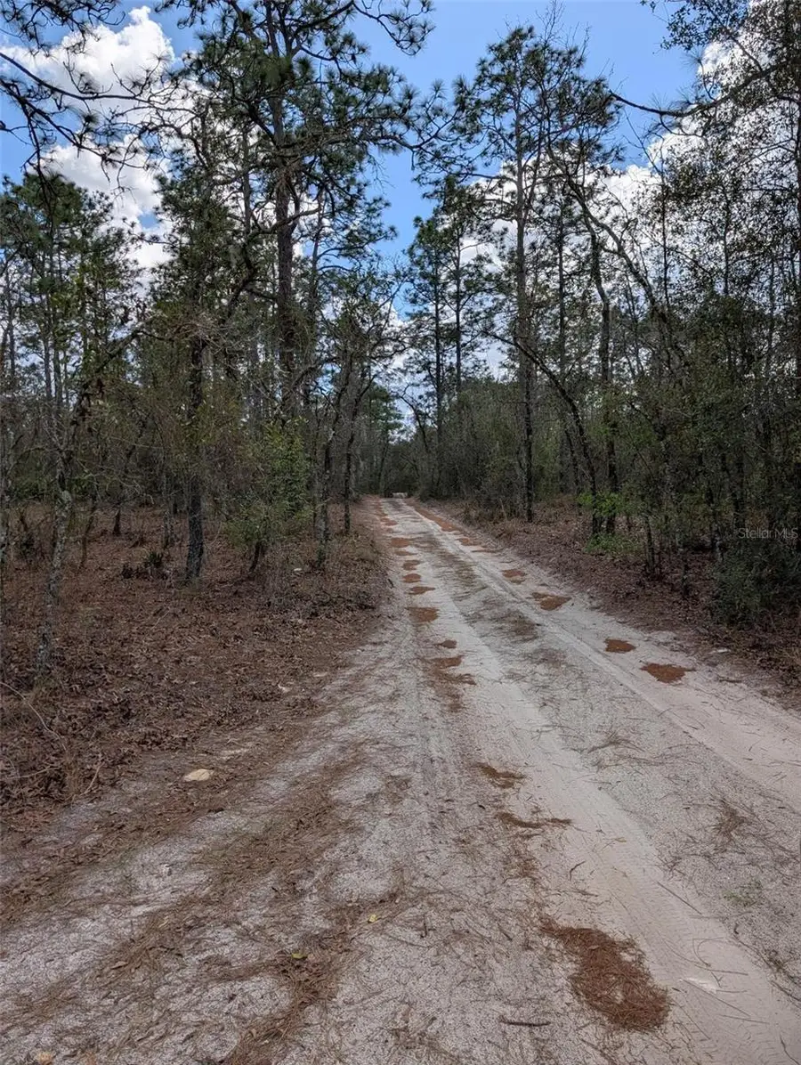 0 SW 90th Street, Dunnellon, FL 34432 - #3
