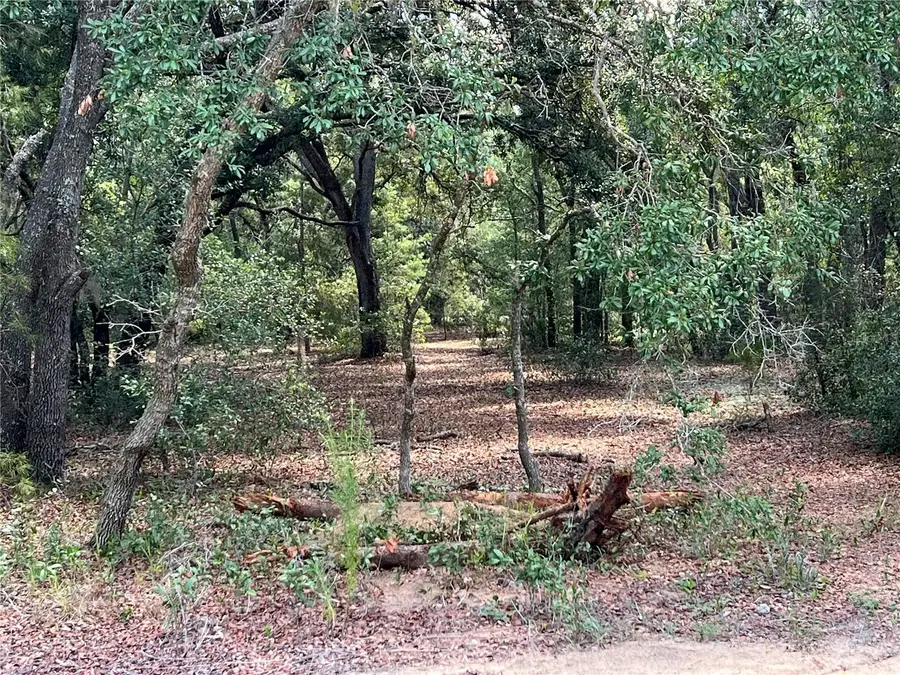 LOT 36 BLK1140 Fisher Way Trail, Ocklawaha, FL 32179 - #3
