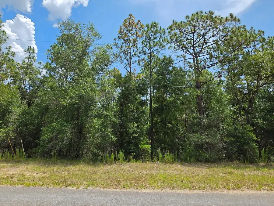 8425 N Foresome Way, Dunnellon, FL 34434 - #2
