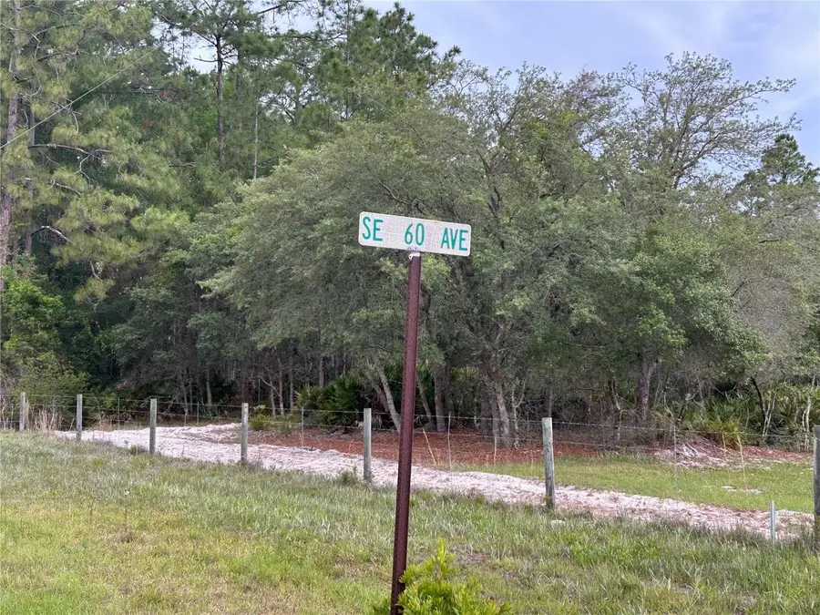 0000 SE 60th Avenue, Morriston, FL 32668 - #2