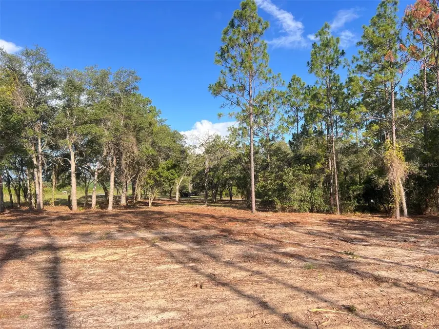 Levy Street, Williston, FL 32696 - #3
