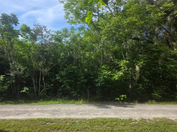 6601 SE 119th Street, BELLEVIEW, FL 34420
