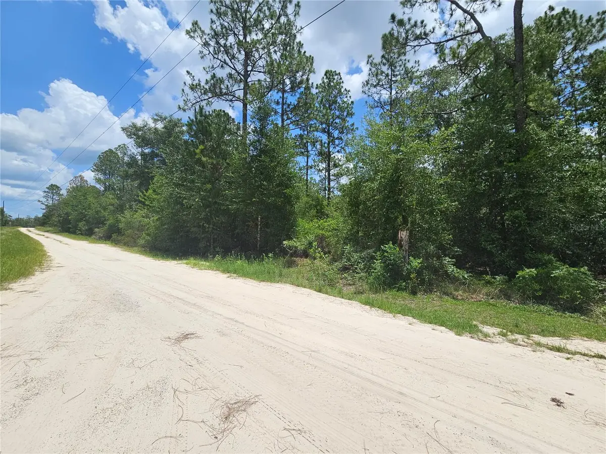 0000 NE 40th Lane, Williston, FL 32696 - #1