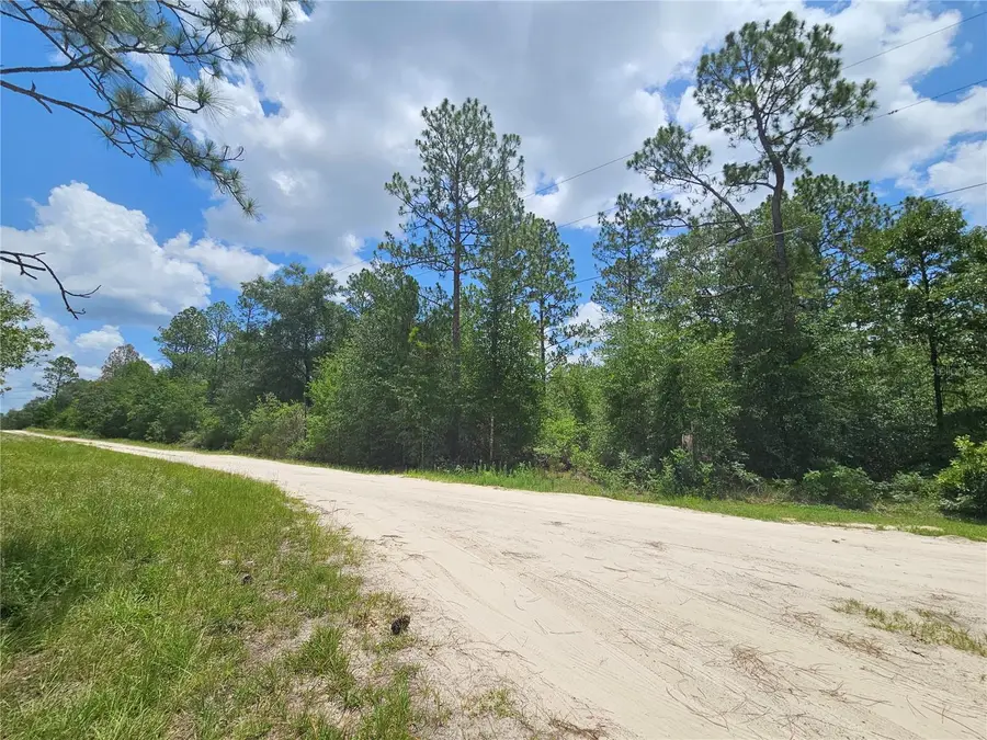 0000 NE 40th Lane, Williston, FL 32696 - #3