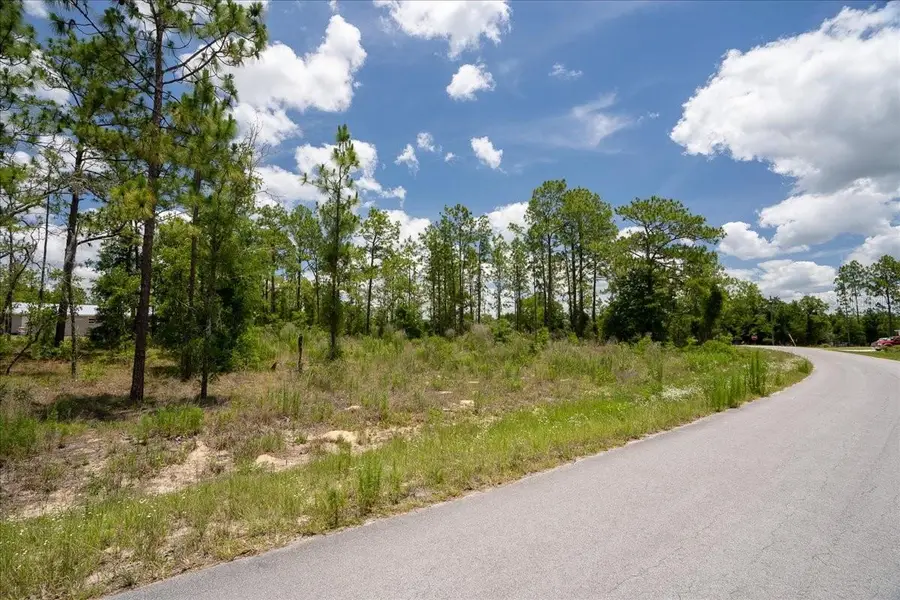 NE 4th Lane, Williston, FL 32696 - #3