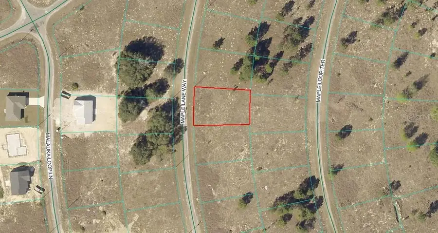 Maple Ln Way, Ocklawaha, FL 32179 - #2