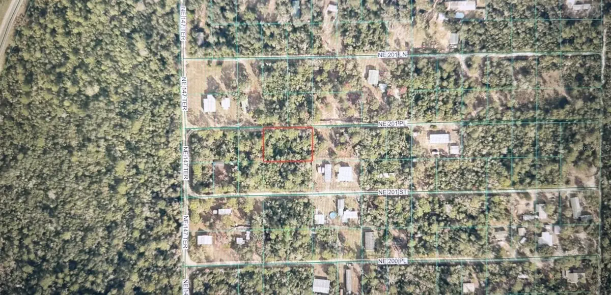 TBD NE 201st Place, Fort McCoy, FL 32134 - #1