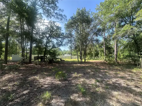 TBD NE 3rd Place, WILLISTON, FL 32696