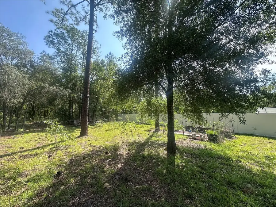 TBD NE 3rd Place, Williston, FL 32696 - #2