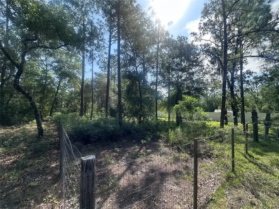 TBD NE 3rd Place, Williston, FL 32696 - #3