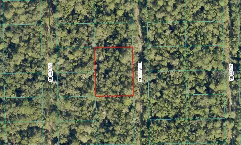 NE 113th Terrace, Fort McCoy Anthony, FL 32134 - #1