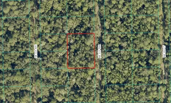 NE 113th Terrace, FORT MC COY, FL 32134