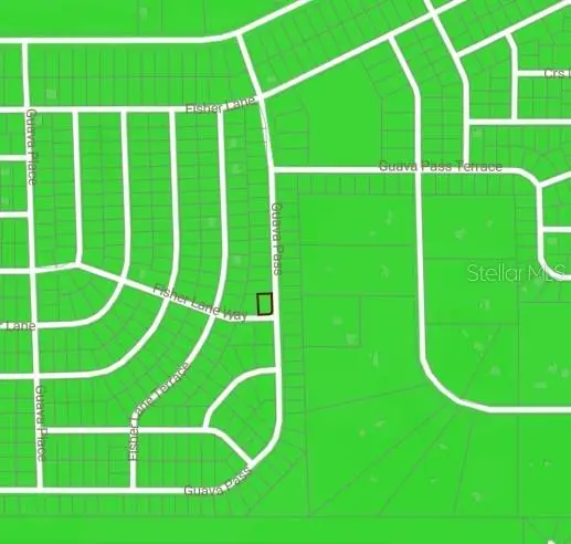 BLK 1222 LOT 14 Fisher Lane Way, Ocklawaha, FL 32179 - #2