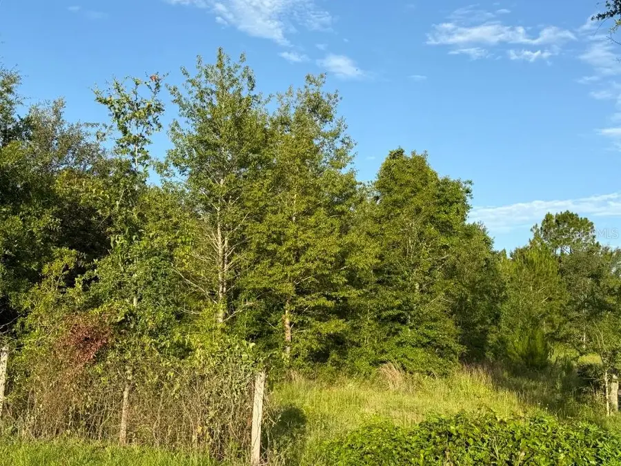 Ne 160th Ave, Williston, FL 32696 - #3
