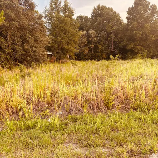 TBD Dogwood Drive Course, OCALA, FL 34472