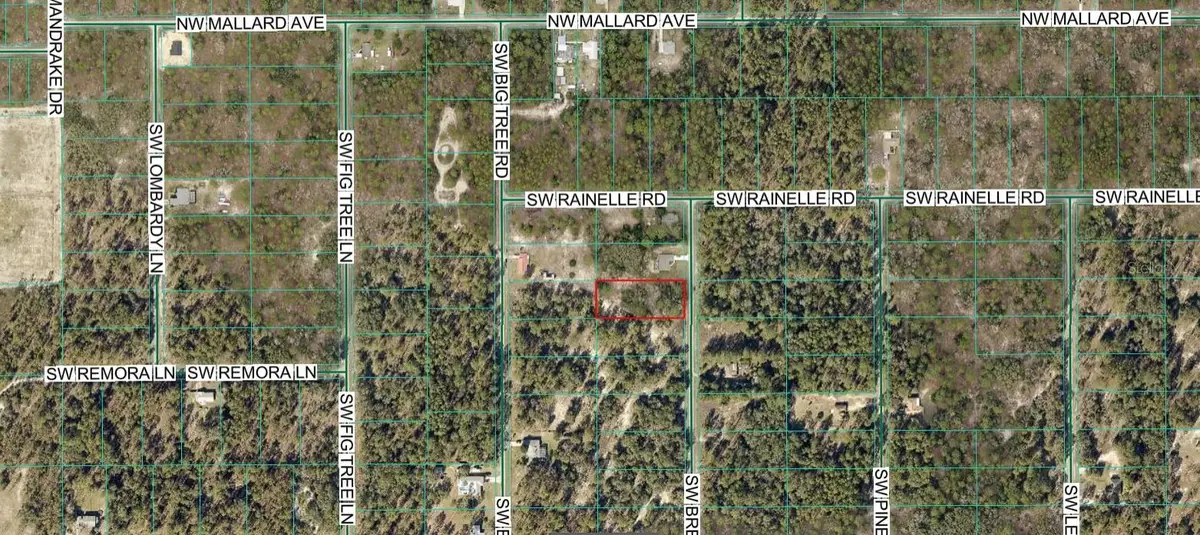 00 SW Breezy Point Drive, Dunnellon, FL 34431 - #1