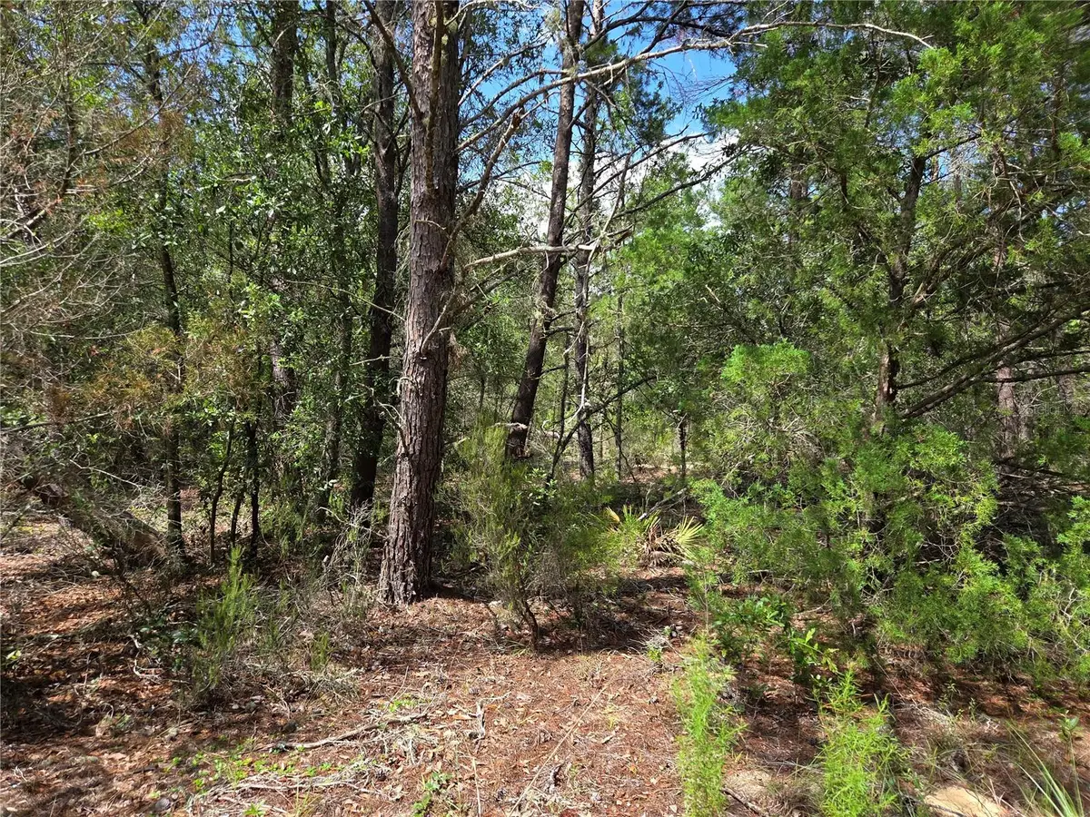0000 NE 95th Street, Archer, FL 32618 - #1