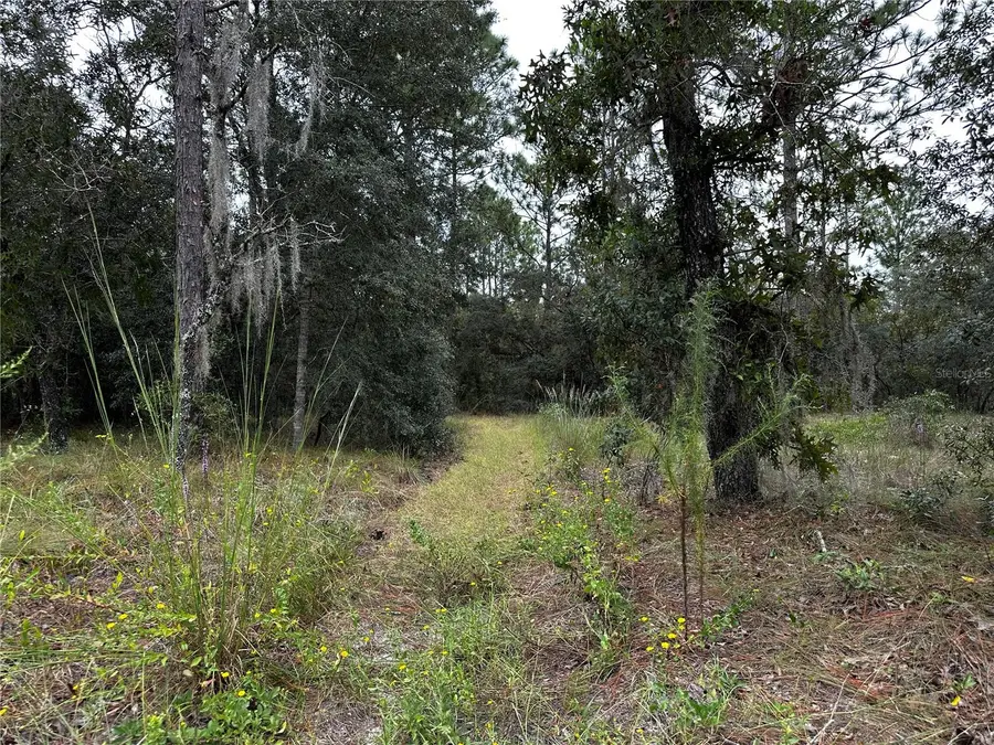 TBD SE 136th Avenue, Dunnellon, FL 34431 - #3
