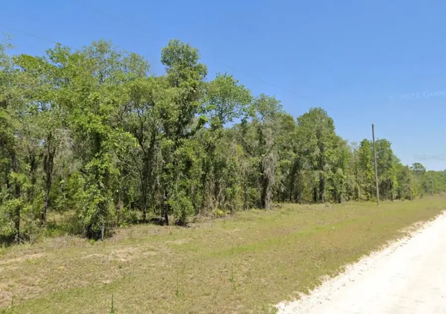 Lot 17 SE 16 Lane, Morriston, FL 32668 - #3