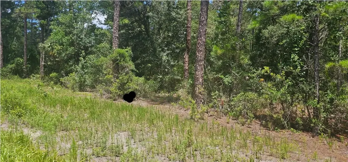0 NE 132nd Pl, Citra, FL 32113 - #1