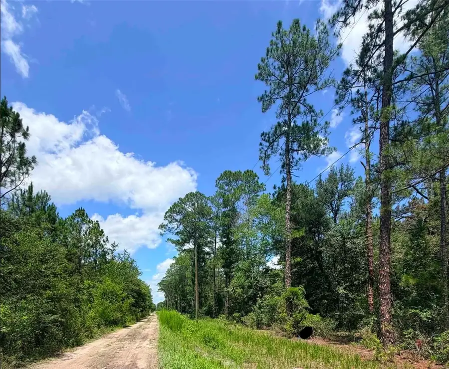 0 NE 132nd Pl, Citra, FL 32113 - #3