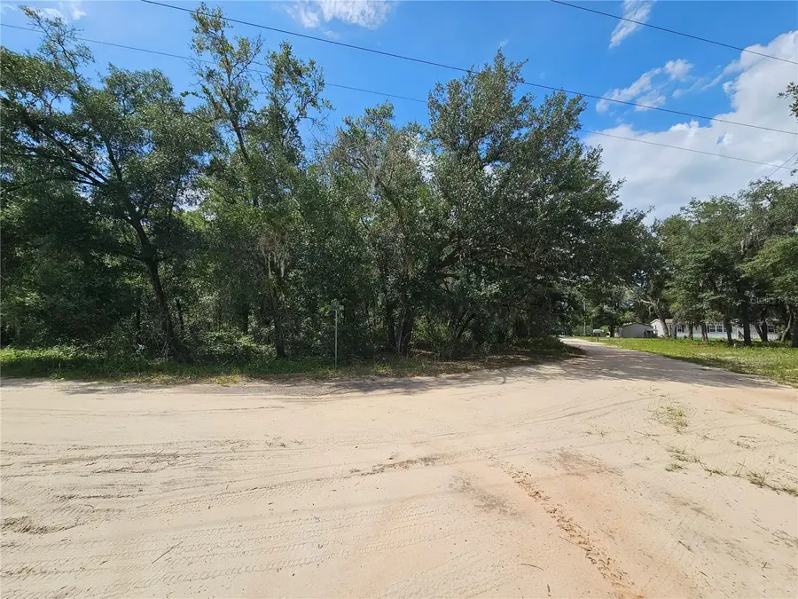 Se 171st Lane, Weirsdale, FL 32195 - #3