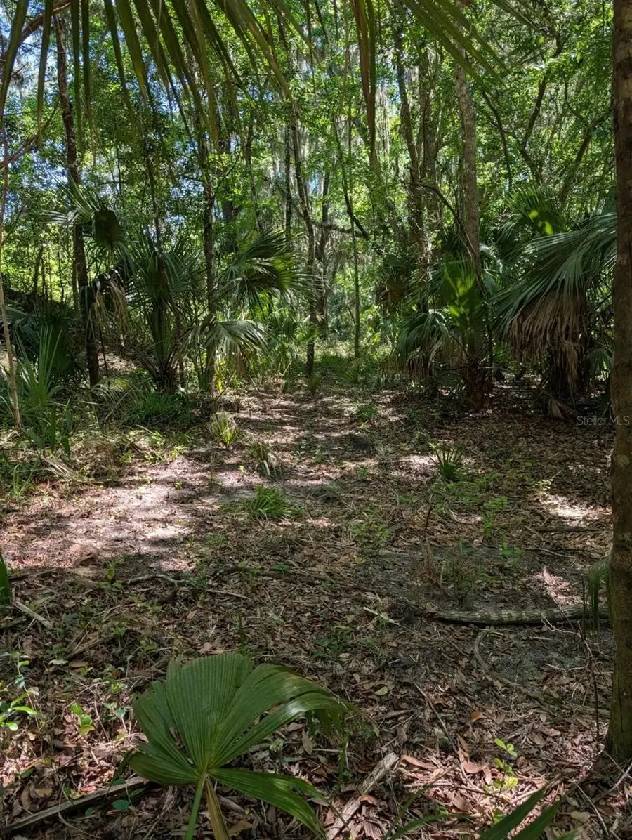 0 NW 202nd Place, Reddick McIntosh, FL 32664 - #3
